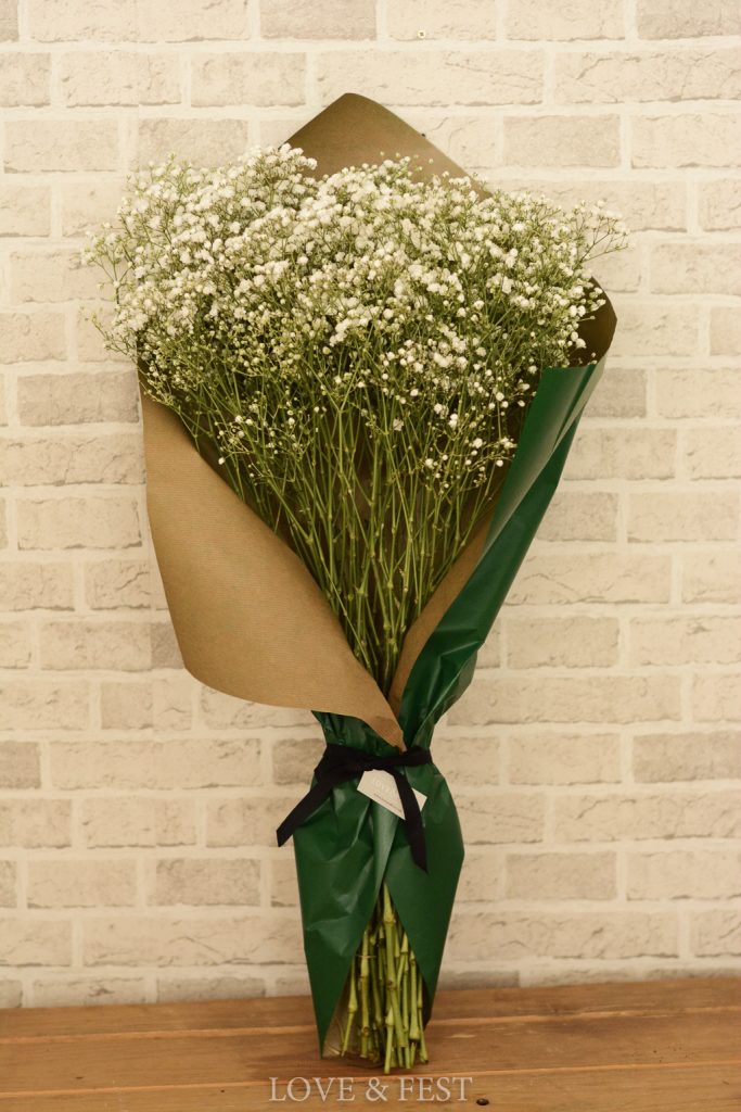 PANICULATA NATURAL