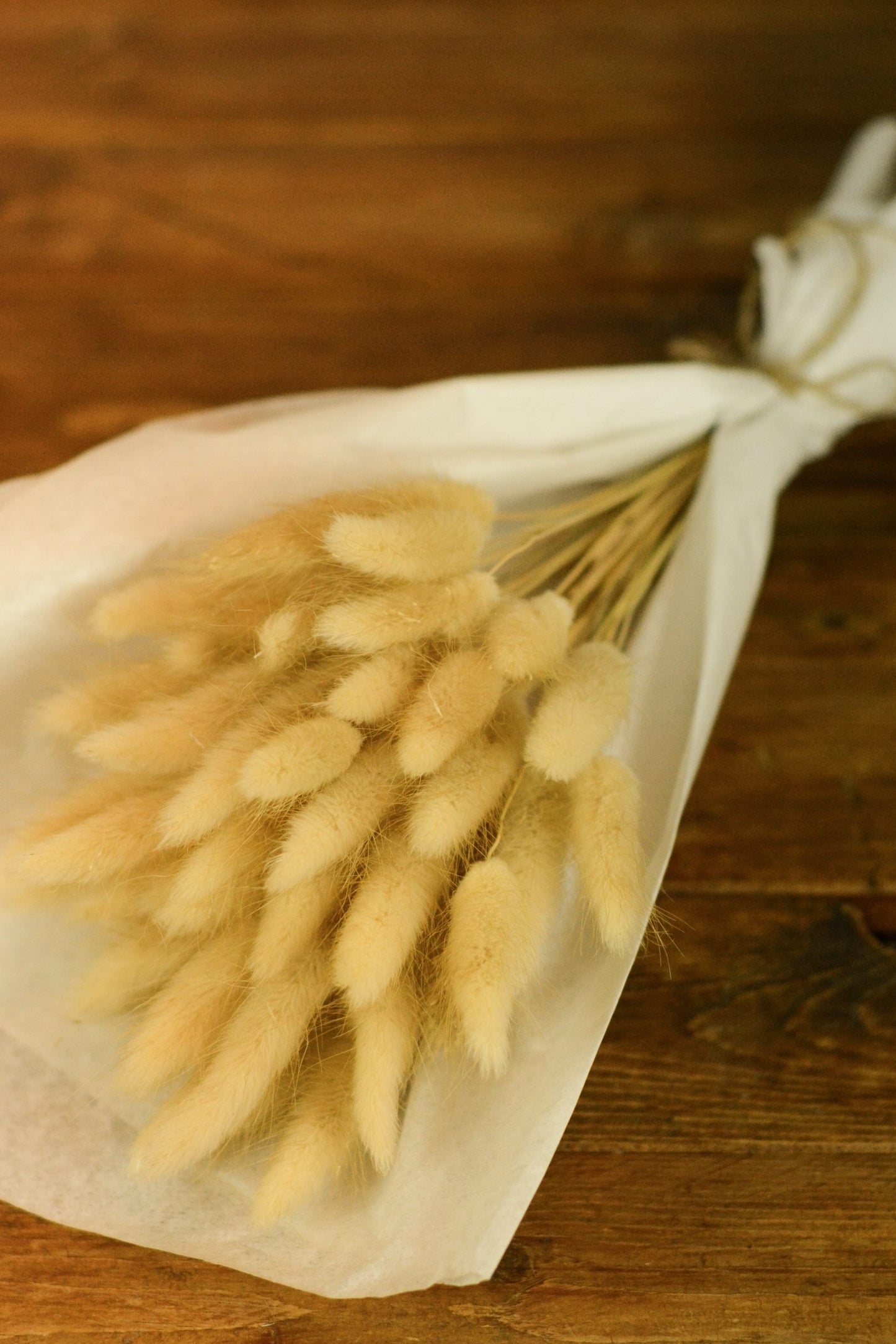 FLOR SECA LAGURUS