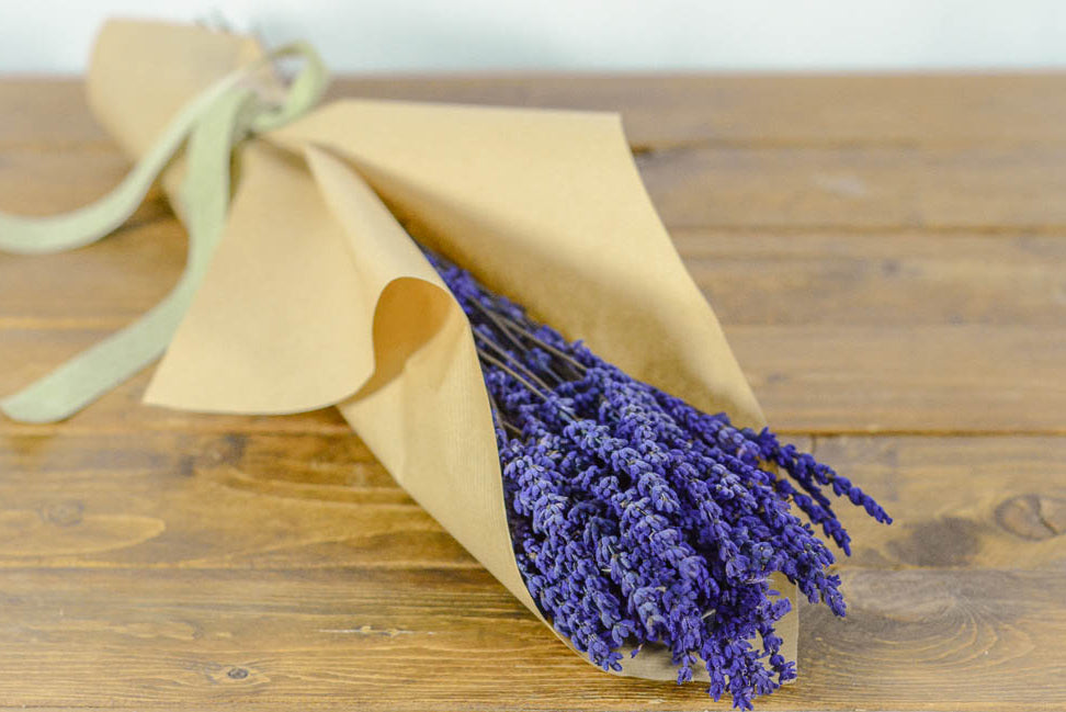 LAVANDA PRESERVADA