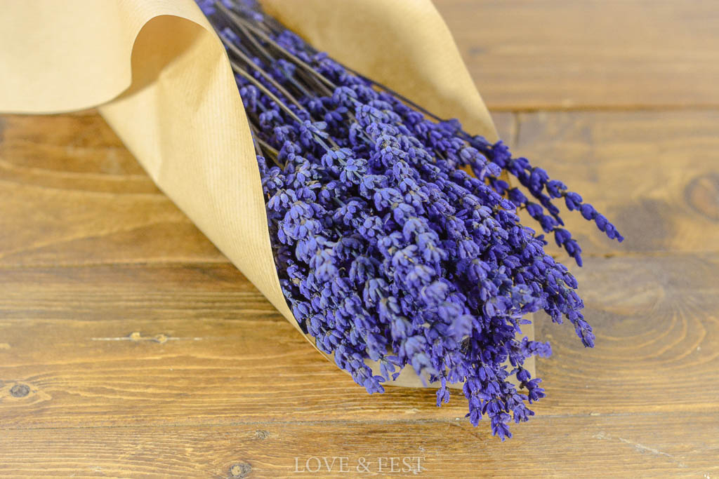 LAVANDA PRESERVADA