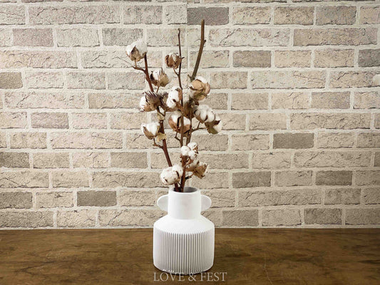 RAMAS ALGODON NATURAL