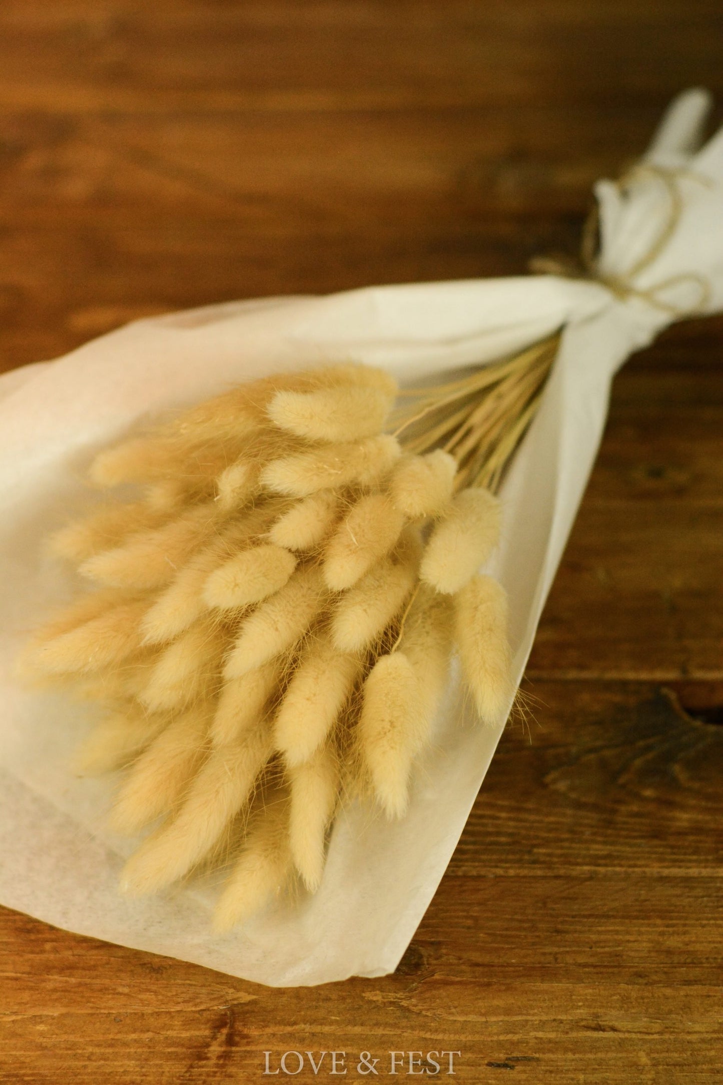 FLOR SECA LAGURUS