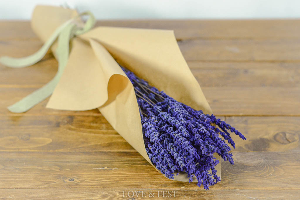 LAVANDA PRESERVADA