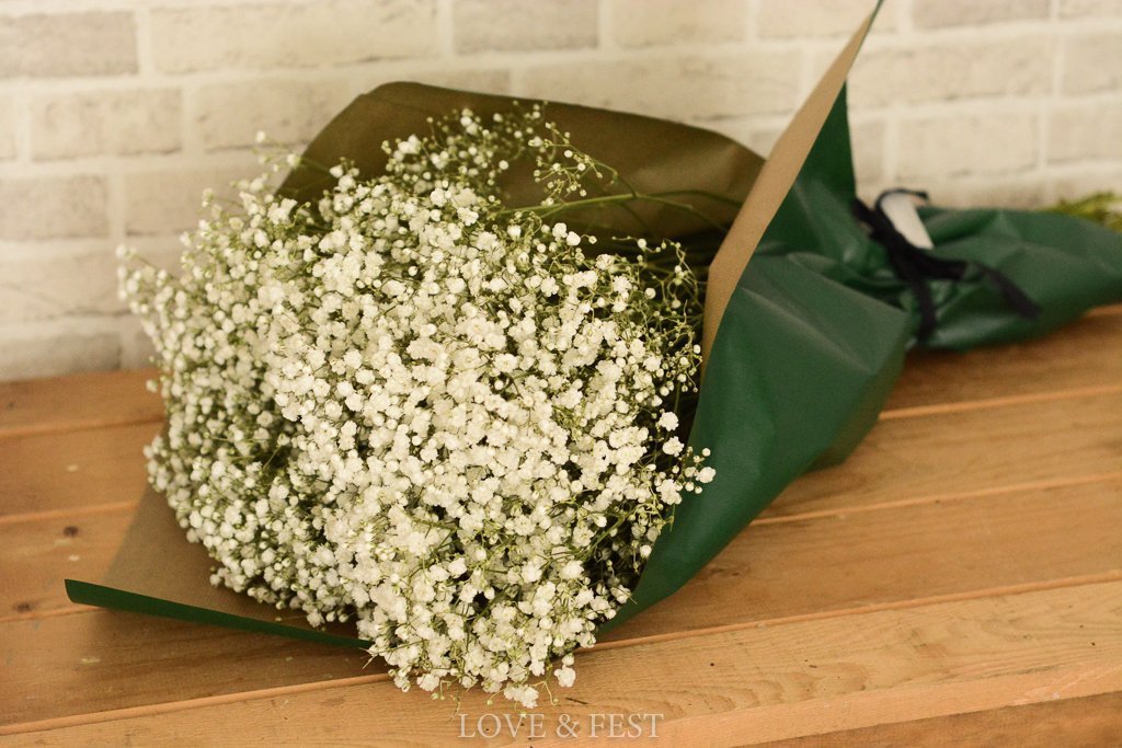 PANICULATA NATURAL